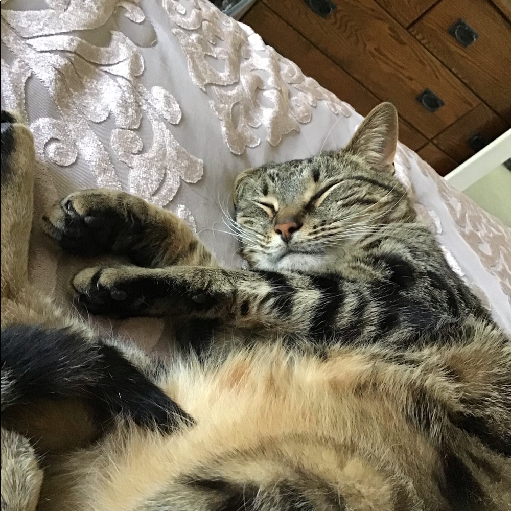 Hi! - Picture 4 of 4